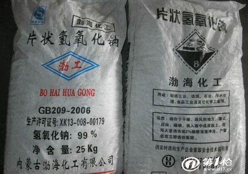 渤海化工片碱99工业级厂家直销价格